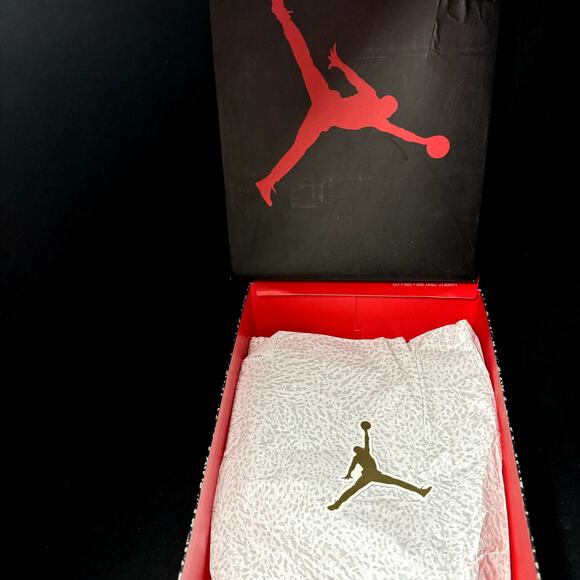 Size 6 - Nike Air Jordan 3 Retro GS Hide N' Sneak 2023 Shoes - Picture 6 of 9